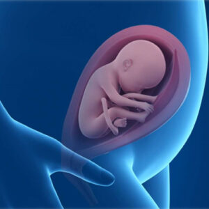 Prenatale Kinesitherapie